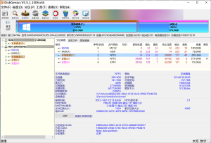 【数据恢复/分区管理】DiskGenius v5.61官网/正版/原版 便携包